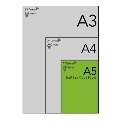 Copy Paper Paperline White PEFC A5 80gsm Box of 10 Reams | Kiwi Office